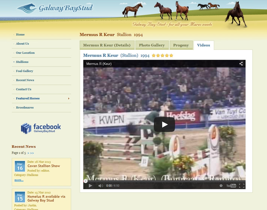 web_galwaybaystud_6.jpg