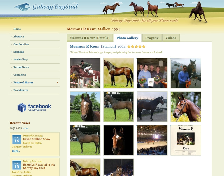 web_galwaybaystud_4.jpg